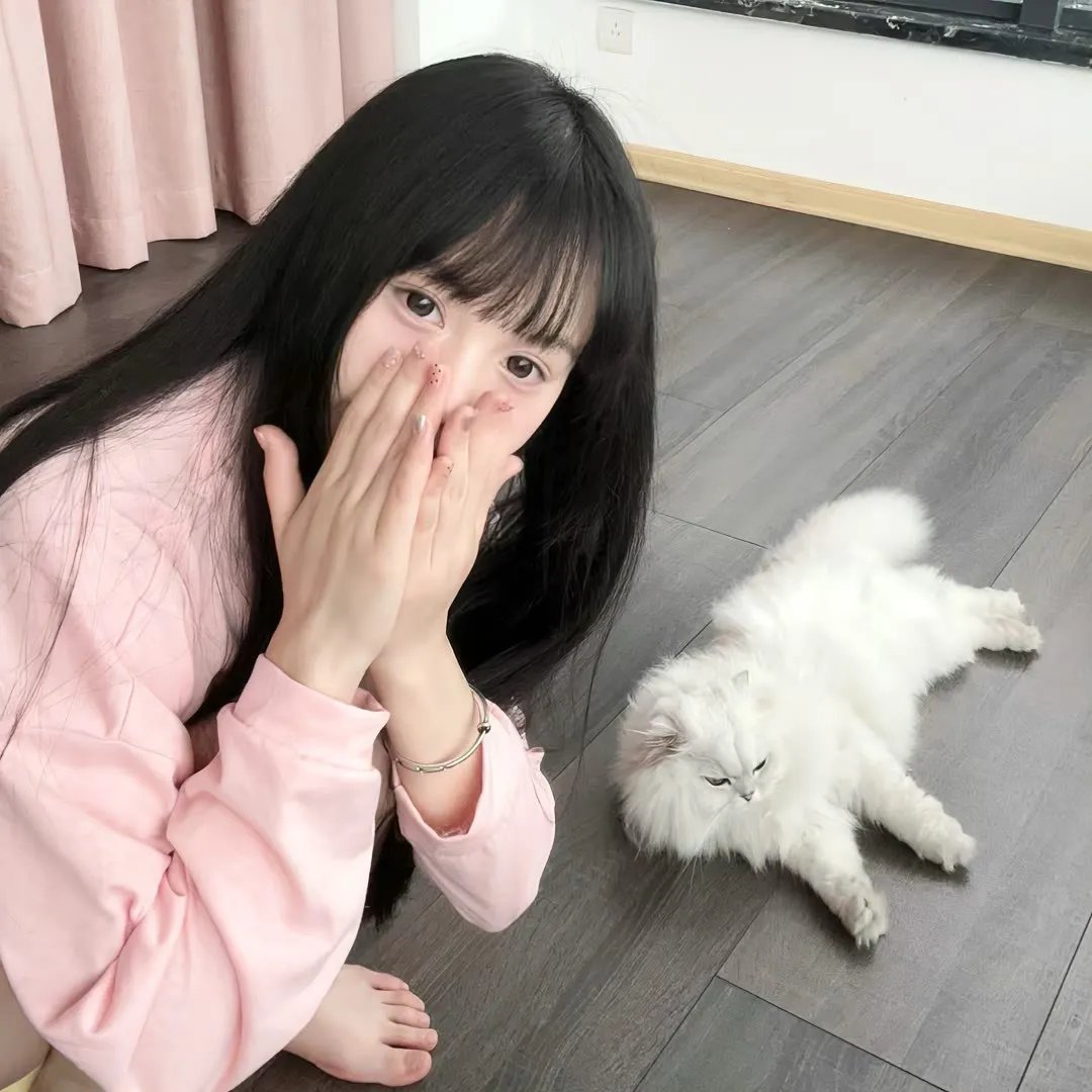 美国派4：美国重逢